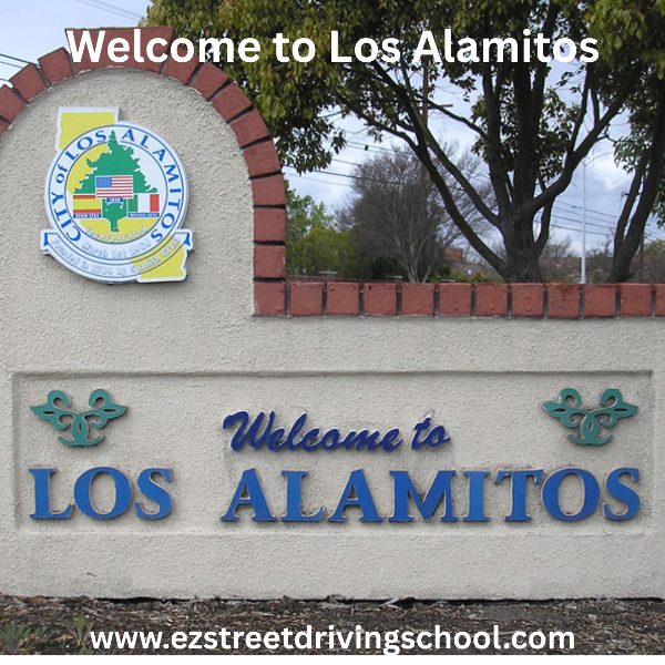 Driving Lessons in Los Alamitos